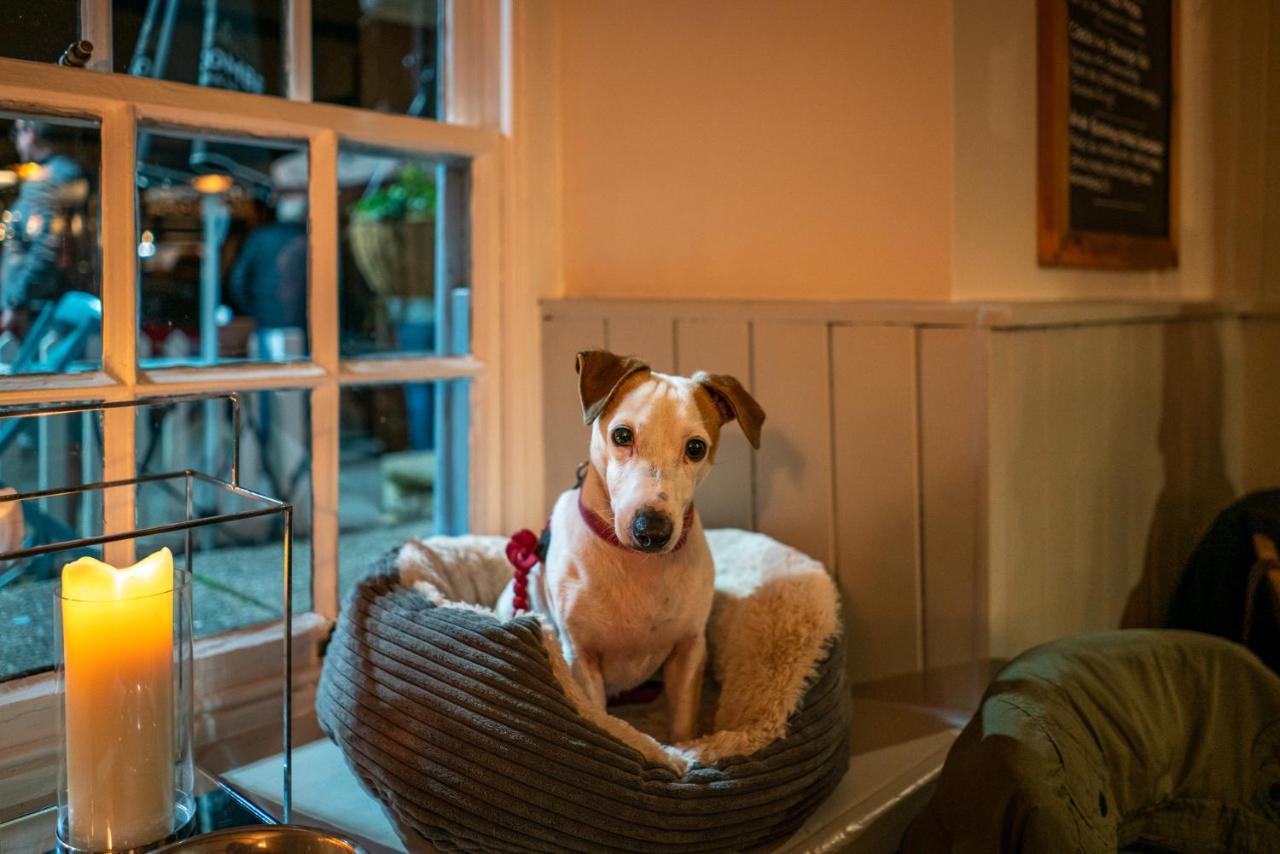 Castle Inn ウェスト・ラルワース エクステリア 写真